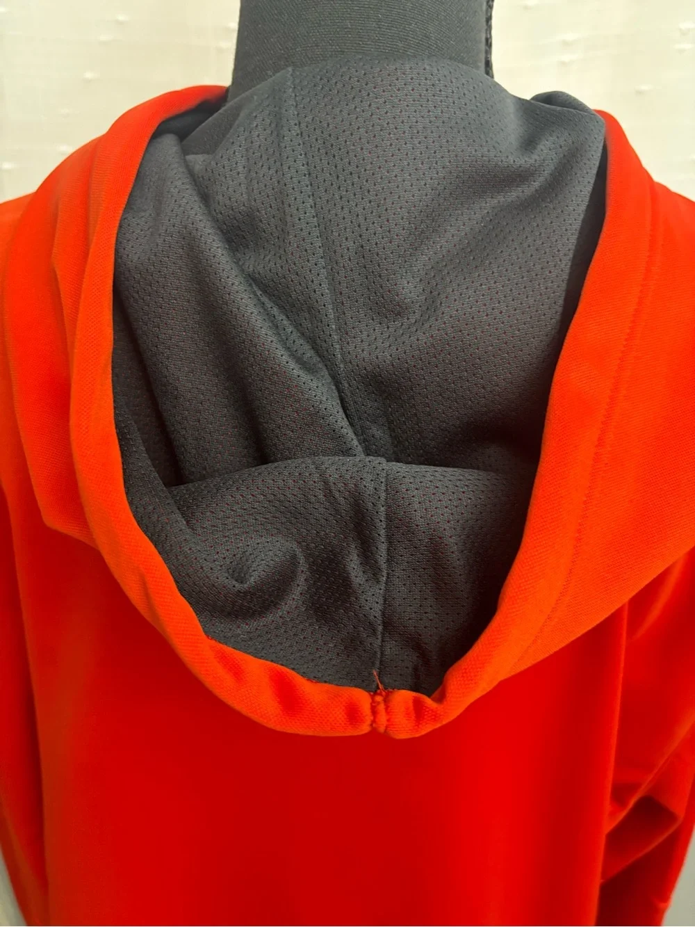 Champion image shows